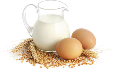 Image of jug full of milk with eggs and wheat grains